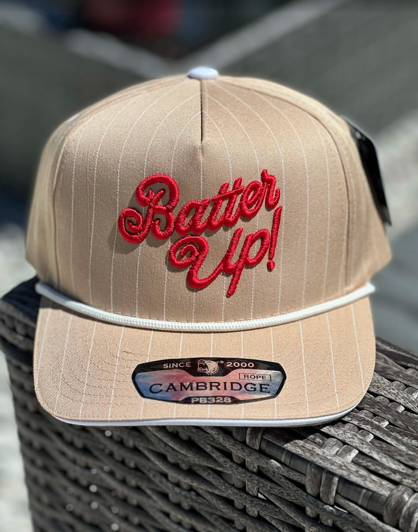 Batter Up Embroidered Hat