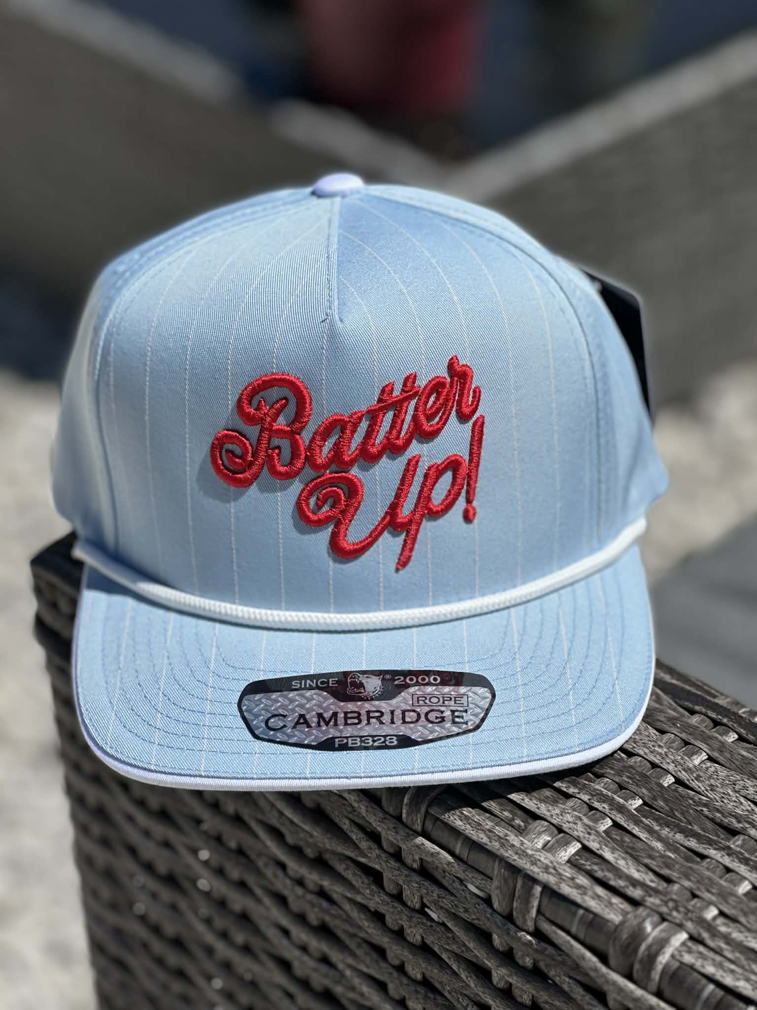 Batter Up Embroidered Hat
